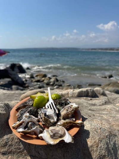 Here is a forensic description of the image:
**Location:** Brisas de Zicatela, Mexico. The presence of the ocean and the rock formation suggests a coastal setting.
**Subjects:** A plate of raw oysters, garnished with lime wedges and a white plastic fork.
**Objects:** A shallow, terracotta-colored plate holds the oysters. The background consists of rocks, the ocean, and a blue sky with light clouds.
**Environment:** The plate rests on a large, light-colored rock formation. The background includes a view of the ocean with visible waves and a sandy beach. The sky is bright blue with scattered white clouds.
**Actions/Interactions:** The oysters appear to have been recently shucked and arranged on the plate.
