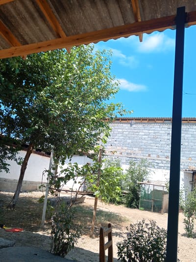 The image depicts a backyard scene under a clear blue sky with scattered clouds, likely in Gagarin, Uzbekistan. A rustic wooden and corrugated metal roof extends from the foreground, offering shade. Lush green trees and foliage are prominent, with one large tree on the left and smaller bushes and vines scattered throughout the yard.
In the background, a light-colored brick wall forms a boundary, with a portion of a roof visible above it. To the right, a green metal enclosure, possibly a cage or shed, stands against the wall. The ground is sandy with patches of dry grass and dirt.
On the left side of the yard, two red shoes are visible on the ground near a stone. A wooden ladder or chair-like object is positioned in the foreground. The overall impression is one of a well-used, outdoor living space in a rural or semi-rural setting.