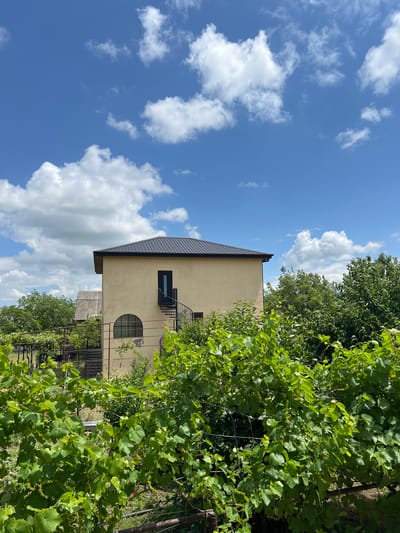 The image shows a two-story building with a beige exterior and a dark metal roof. The building has a black door and a black spiral staircase leading to it. There is a large arched window on the first floor. The building is surrounded by lush green foliage, including trees and what appears to be a vineyard in the foreground. The sky is blue with scattered white clouds. In the background, another building with a grey, corrugated roof is visible. The scene suggests a rural or semi-rural setting, consistent with the location of Uplistsikhe, Georgia, which is known for its ancient cave city and surrounding natural beauty. No people or animals are present in the image.
