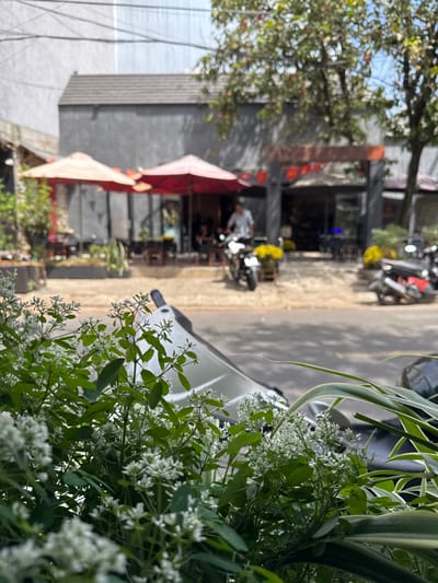 An outdoor scene shows a street with parked motorcycles and a building with red awnings. The focus is on the right foreground with lush greenery and small white flowers. The scene is slightly rotated, placing the buildings and street on a tilted angle. A person can be seen near the building's entrance, adding a sense of activity to the otherwise quiet street. The image is taken in daylight, suggesting a peaceful, suburban environment.