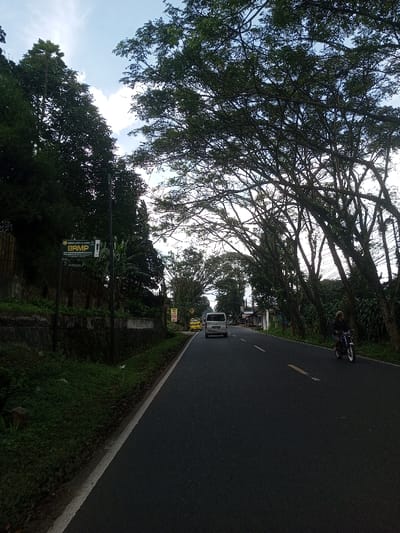 The image depicts a two-lane asphalt road receding into the distance, flanked by dense vegetation and trees under a partially cloudy blue sky. A white solid line marks the left edge of the road, and a faded yellow dashed line is visible in the right lane.
On the left side, a moss-covered concrete retaining wall parallels the road, above which an embankment is covered in thick dark green foliage and tall trees. A dark utility pole stands near the wall, bearing a green and white rectangular sign with Indonesian text: "BALAI LAYANAN AIR MINUM DAN SANITASI" (Water Supply and Sanitation Service Center) and "BRMP," identifying an Indonesian governmental or service entity. Further along the left, a yellow diamond-shaped warning sign is partially visible.
The right side of the road is bordered by a row of tall trees with extensive, spreading canopies, some forming an arch over the road. A person wearing a dark top and light-colored headwear is operating a dark blue or black motorcycle with a white front wheel, moving away from the viewer in the right lane. Further ahead in the same lane, a white van is also traveling away from the viewer.
The scene is illuminated by natural daylight, casting subtle shadows.