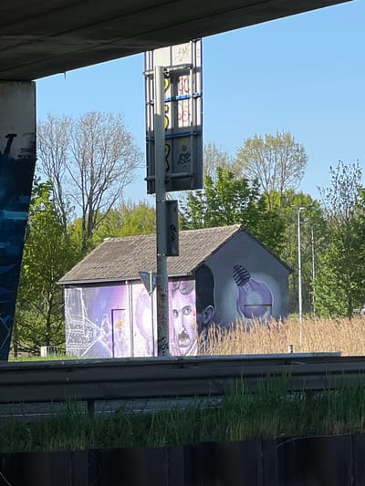 This media file captures an outdoor scene, likely beneath or adjacent to a bridge or overpass, featuring a small building adorned with vibrant graffiti murals. The image is taken on a clear, sunny day, indicated by the bright blue sky and distinct shadows.
The central subject is a single-story building with a dark-tiled roof. Its walls are covered in eye-catching street art. On the upper portion of the wall, a large, glowing purple light bulb is depicted, radiating a bright yellow-orange light from its filament. Below this, a portion of a human-like face, rendered in purple and grey tones, is visible, showing eyes and the bridge of a nose. Further down the wall, another mural features a white outline drawing of a house or building, surrounded by what appears to be lightning bolts or electrical arcs, also in purple hues.
Above the graffitied building, a large, grey metallic sign structure is prominent, partially covered with various illegible tags and some discernible red letters that seem to spell "AMF" or similar. To the left, a concrete structure, possibly the underside of a bridge, frames the scene. In the background and foreground, numerous trees with green foliage are scattered, suggesting spring or early summer, though one tree to the left shows bare branches. On the far right, a vertical barrier or wall is partially covered with both dry, light-colored reeds and fresh green grass. No specific activity or event is taking place; the image is a static capture of urban art in an outdoor setting in Weert, Netherlands.
