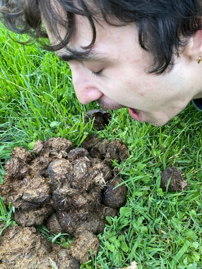 The scene depicts a male individual with dark, curly hair, a light mustache, and a gold hoop earring in his right ear, positioned on green grass in Cucuron, France. He is leaning forward, with his face, specifically his mouth and nose, oriented downwards towards a pile of dark brown, fibrous manure. His mouth is slightly open, and his eyes appear closed or directed downwards. The manure pile is composed of multiple distinct, rounded pieces, consistent with horse or cow droppings, and is surrounded by lush green blades of grass. Several smaller, individual pieces of manure are scattered on the grass adjacent to the main pile.