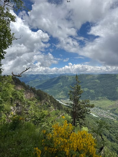 The image depicts a panoramic view of a mountainous landscape, likely from a high vantage point. In the foreground, lush green grass and vibrant yellow wildflowers dominate the scene. To the left, a rocky cliff face is visible, partially covered with trees and foliage. A prominent dead tree branch extends horizontally from the cliff. A tall, slender pine tree stands in the middle ground.
Beyond the immediate foreground, the landscape unfolds into rolling, densely forested mountains. A river winds through the valley, and a small settlement with buildings and roads is nestled within the green expanse. The sky is a dynamic mix of blue sky and dramatic white and gray clouds, suggesting a partly cloudy day.
The scene is a natural, outdoor environment, devoid of any people. The overall impression is one of natural beauty and rugged terrain, characteristic of mountainous regions. The description aligns with the visual characteristics of the area around Nizhnyaya Teberda, Russia, known for its Caucasus Mountain scenery.