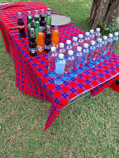 The image shows a table covered in a red and blue checkered tablecloth, situated on a patch of grass in Karagita, Kenya, with coordinates -0.773 latitude and 36.42 longitude. There are numerous glass bottles, primarily blue, arranged on the table in rows. Other rows of bottles, this time orange and brown, are situated closer to the viewer and perpendicular to the blue bottles. A large, round, brown serving tray lies on the grass in the background.  The table is set up for a gathering, suggesting an event or gathering with refreshments. The environment is outdoor, likely a lawn or park setting.