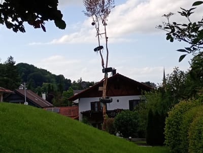 The image, captured in Brannenburg, Germany, depicts a unique, tall, wooden pole structure adorned with various objects, including what appear to be tires. The pole is situated in front of a traditional Bavarian house with a dark, gabled roof and white walls. The house features a balcony with railings and several windows. In the background, a lush green hillside slopes down towards the viewer, with scattered houses and dense foliage. A church steeple is visible in the distance, peeking through the trees. The sky is partially cloudy, with a light blue hue. The overall scene suggests a rural or semi-rural setting.