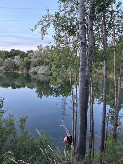 The image depicts a serene natural scene by a body of water, likely a lake or quarry, situated near Ludwigshafen am Rhein, Germany. In the foreground, several tall, slender trees with light-colored, textured bark stand prominently, with lush green foliage forming a dense backdrop. The trees are positioned on the bank of the water, obscuring some of the view of the opposite shore, which is lined with more trees and bushes.
The water itself is calm and reflects the sky and the surrounding vegetation, creating a mirror-like effect. Subtle ripples disturb the surface in some areas. The sky above is a pale blue, with faint horizontal lines indicating power lines stretching across the expanse.
On the right side of the image, a person, viewed from the back, is standing near the water's edge. They are wearing a black tank top and appear to be engaged in an activity near the water, possibly fishing, as a thin line is visible extending from their hand towards the water. The person's hair is reddish-blond. The ground where the person stands is covered in grass and smaller plants, with dry stalks of grass in the immediate foreground. The overall atmosphere is tranquil and natural.