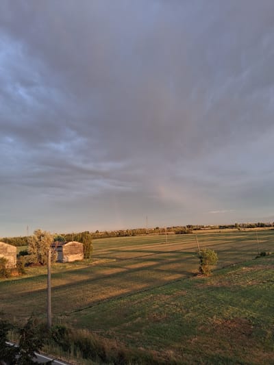 The image displays a rural landscape in Colorno, Italy, at sunset. The scene is dominated by a vast sky filled with soft, grey clouds, suggesting overcast or impending rain. The horizon is sharply divided between the sky and the earth, with the land stretching out in a green field. The field is marked with long, dramatic shadows cast by unseen objects, likely trees or poles, creating a pattern across the landscape. A single, leafy tree stands prominently in the middle ground, its form silhouetted against the field.
In the distance, a few scattered buildings and power lines are visible, hinting at human habitation within the otherwise natural setting. The warm hues of the setting sun subtly illuminate the edges of the clouds and cast a golden glow on the field, creating a peaceful yet slightly melancholic atmosphere. The overall impression is one of quiet solitude and the gentle transition from day to night in the Italian countryside. There is no visible text in the image.