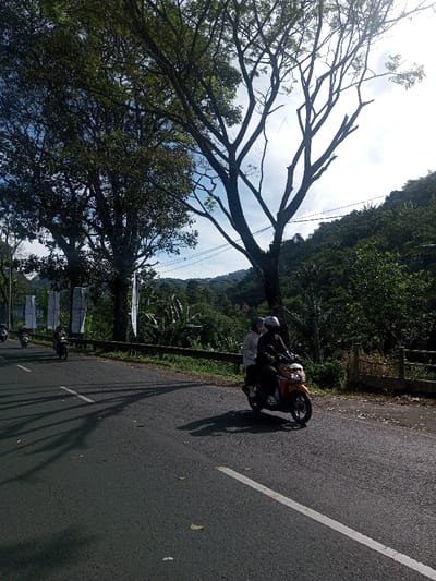 The scene depicts a paved road in a verdant, hilly area, identified as the city of Phonengam, Laos, under bright daylight conditions with long shadows indicating morning or late afternoon. An orange scooter with two individuals wearing helmets is positioned in the mid-ground, traveling from right to left across the frame. The driver wears a dark top and helmet, while the passenger wears a light-colored top and helmet. The road surface is dark asphalt with a white solid line marking the right edge and scattered debris. Multiple other motorcycles are visible further down the road on the left, also traveling in the same direction. A brown metal guardrail lines the right side of the road. On the left side, several white banner-like objects are attached to poles. Large trees with both dense foliage and bare branches frame the road against a bright, partly cloudy sky. The background consists of densely forested hills. Utility lines are visible traversing the upper part of the image.