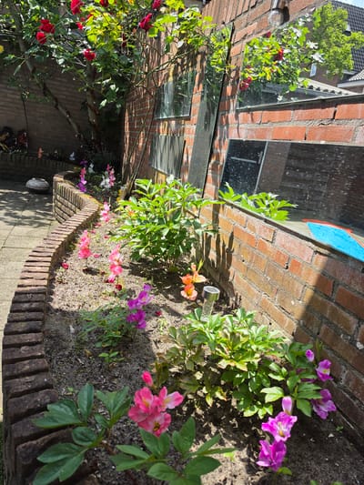 A ground-level, slightly rotated shot shows a brick-lined garden bed in 's-Hertogenbosch, Netherlands. The garden features a variety of flowering plants, including pink and purple blooms, as well as greenery. Adjacent to the garden bed is a brick wall with glass windows reflecting greenery and structures. A paved area borders the garden bed. A solar light is present among the flowers.