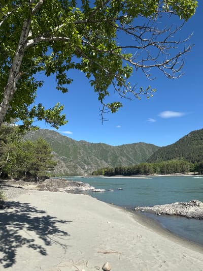 The image depicts a landscape scene in Elanda, Russia. A river runs through the center of the frame, with a sandy beach on one side and a forested mountain range on the other. In the foreground, there's a tree with green leaves on the left side, reaching towards a clear blue sky with scattered white clouds. The sandy beach occupies a significant portion of the frame, with shadows of trees cast on it. The river has a turquoise hue, possibly due to mineral content. The mountain range is covered in lush green vegetation.