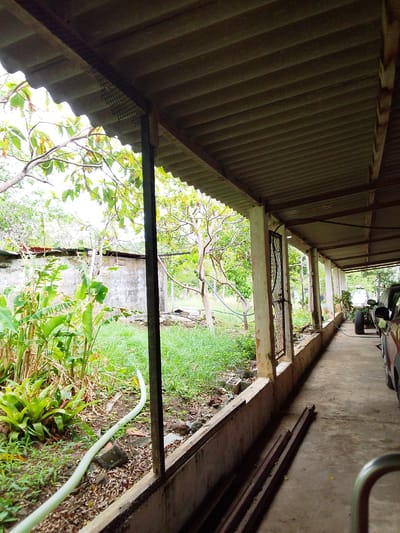 This media file depicts an outdoor scene under a corrugated metal roof supported by pillars. The roof extends over a concrete walkway, with a low concrete wall separating the walkway from an overgrown grassy area. To the left of the walkway, lush green vegetation, including plants with large leaves and a spiky plant, is visible. A light green hose snakes across the ground through the vegetation. In the background, there is a concrete wall, trees with green leaves, and more vegetation. Further down the walkway, two vehicles are partially visible, with their tires and lower bodies in frame. The scene appears to be in a somewhat unkempt or rustic environment.
The overall impression is one of an outdoor covered area adjacent to a natural, somewhat overgrown space. The lighting suggests it is daytime, possibly overcast given the muted light. The location cues point to Atamo Sur, Venezuela, implying a tropical or subtropical climate. There is no discernible activity or event taking place; it is a static scene. Notable details include the weathered appearance of the pillars and the concrete wall, the corrugated roofing, the dense vegetation, and the presence of vehicles. No text is visible in the image.