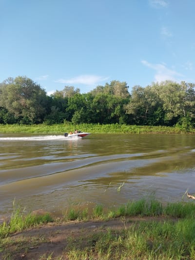 In the city of Chkalov, Russia, a small motorboat speeds across a wide, murky river, leaving a white wake behind it. The boat, which appears to be red and white, carries at least two passengers wearing orange life vests. The riverbanks are lined with lush green vegetation and trees, forming a dense forest that stretches across the horizon. The sky above is a clear blue, with a few wispy clouds. The foreground of the image shows the muddy bank of the river with tall grass growing. The overall scene depicts a recreational activity on a natural waterway under a bright, sunny sky.