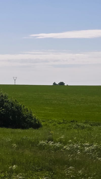 A wide shot captures a vast, verdant green field under a pale blue sky with wispy white clouds. In the distance, a solitary power line tower stands to the left, its metallic structure stark against the horizon. To the right, a cluster of trees dots the landscape. The foreground features a dense patch of dark green foliage on the left, transitioning into tall, wind-blown grasses that create a soft, blurred texture. The overall impression is one of a serene, open natural environment. The location is in the vicinity of Актюбинский, Russia.