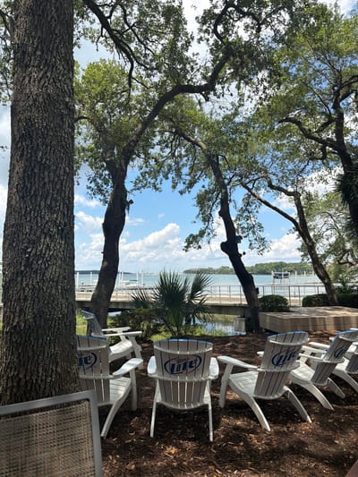 The image captures an outdoor seating area overlooking a body of water, likely a marina or bay, on Hilton Head Island, South Carolina. In the foreground, several white Adirondack chairs with blue trim and the "Miller Lite" logo are arranged on a ground covered with mulch and fallen leaves. A portion of another chair, made of woven material, is visible in the lower left corner.
Behind the chairs, a boardwalk or pier with a metal railing extends over the water. Beyond the boardwalk, the water is visible with several boats docked in the distance. The background features a treeline and a bright blue sky dotted with white clouds. Tall trees with thick trunks and lush green foliage frame the scene, providing shade and natural beauty. The overall atmosphere suggests a relaxed, scenic setting, possibly a restaurant or recreational area.