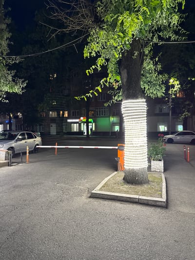 The image depicts a night scene on a street in Vladikavkaz, Russia. A silver sedan is parked on the left side of the frame, near a white barrier gate. A tree in the foreground is wrapped with bright white LED lights. In the background, a multi-story building with illuminated windows suggests residential or commercial spaces. A pharmacy with a green illuminated sign is visible. Several other cars are present in the background, and a person is standing near the pharmacy entrance. The street is paved, and there are orange traffic cones near the barrier gate. The lighting suggests it is after sunset, with artificial lights illuminating the scene.