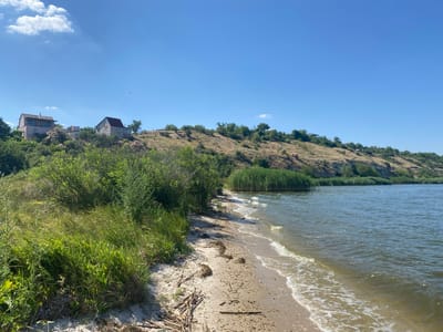 The image depicts a scenic view of a sandy beach on the bank of a body of water, likely a river or a lake, under a clear blue sky with a few scattered clouds. The shoreline is lined with lush green vegetation, including tall grasses and bushes. In the background, a gentle slope rises, covered with dry grasses and scattered trees, with several houses visible on the crest of the hill. Reeds grow in clusters in the water near the shore. The water is calm with small waves lapping at the sand. The scene is tranquil and appears to be a natural landscape with some human habitation. The location is identified as Kyr'yakivka, Ukraine. There are no people or animals visible in the image.