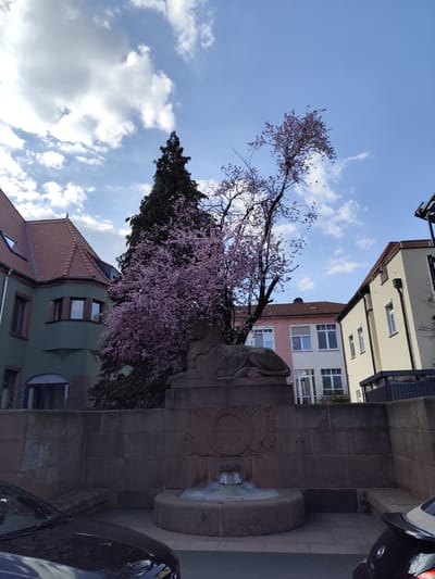 The scene depicts an outdoor location in Obernburg am Main, Germany, under a partly cloudy blue sky. A stone monument and fountain dominate the lower-center foreground. The monument features a reclining stone lion sculpture facing right, positioned atop a rectangular stone block. Below the lion, on the monument's front face, a circular carved emblem, flanked by two vertical elements, is situated directly above a water spout discharging into a semi-circular basin.
To the immediate left of the monument, a tall, dark green coniferous tree stands. Partially obscuring it is a smaller deciduous tree, fully blossomed with pink-purple flowers. In the background, multiple multi-story buildings are visible. The building to the left features a greenish-teal facade, a reddish-brown tiled roof, and a prominent octagonal corner projection with bay windows. To the right, further back, are buildings with facades in pink, white, and cream colors, all possessing red or brown tiled roofs. The foreground shows partial views of two parked dark-colored vehicles: the hood and windshield of a sedan on the left, and the rear quarter panel with a spoiler of another vehicle on the far right. No human subjects are present.
