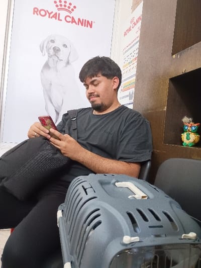 A young man is sitting in a chair in a veterinary clinic, looking down at a cell phone in his right hand. He is wearing a black t-shirt and jeans. He is sitting next to a grey pet carrier with a white handle. The clinic is located in General Pacheco, Argentina at latitude: -34.462, longitude: -58.637. The wall behind him has a large Royal Canin advertisement featuring a white dog.