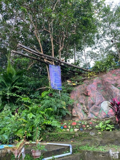 The image shows a scene in a forest, likely a public park or a natural area, located in Kecamatan Manyaran, Indonesia. The scene is dominated by lush vegetation, with large trees and shrubs, and a rocky outcropping.
The rocky outcropping is painted with colorful, abstract designs, and some stones are placed in a small, colorful line at the base of the rock. A sign with blue lettering is mounted on a wooden post and positioned on the left edge of the rock. This sign contains text in the Indonesian language, possibly providing information about the park or the area.
Several wooden branches are visible, resting on the rock and leaning against a tree trunk. The image suggests a setting that is popular for recreation, perhaps a walking trail or a natural area for relaxation. There are no visible people or animals in the image.