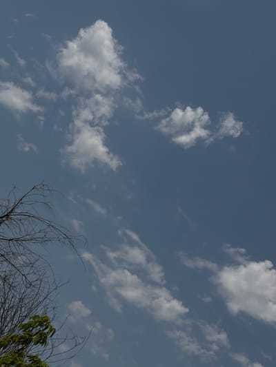 The image shows a clear blue sky with scattered white clouds. In the lower left corner, there is a tree with bare branches and some green leaves. The scene appears to be outdoors and the lighting suggests it is daytime. The location is identified as Chirchik, Uzbekistan.