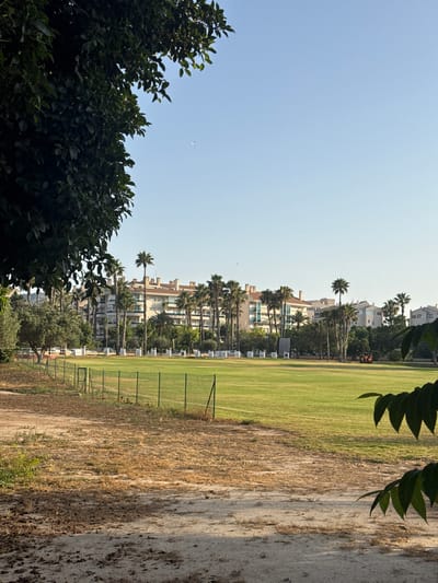 The image depicts an outdoor scene, likely in Pla Parcial Platja, Spain, under a clear blue sky. The view is split between lush green foliage on the left and a sports field on the right.

On the left, dense, dark green leaves of trees dominate the foreground, obscuring the sky above. In the middle ground, a row of tall palm trees stands against a backdrop of multi-story buildings, suggesting an urban or semi-urban environment adjacent to the open space. Some of these buildings appear to be residential or hotels, with balconies and windows visible. A small, faint object, possibly a bird or a drone, is visible in the sky.

The right side of the image features a well-maintained green sports field, likely a soccer or cricket pitch, marked with white lines. A green mesh fence runs along the edge of the field, with a few goal-like structures visible. Beyond the field, the ground transitions to dry, sandy earth with sparse, parched vegetation. This area shows signs of erosion and weathering. In the distance, a digital scoreboard is visible, displaying orange numbers, though the specific score is not legible.

The time of day appears to be late afternoon or early evening, given the warm lighting and the long shadows cast across the dry ground. The weather seems to be pleasant and sunny, with no clouds in sight. The overall impression is one of a well-utilized outdoor recreational area, possibly a park or sports complex, integrated with a residential area in a sunny, coastal location. There are no people clearly visible in the image.