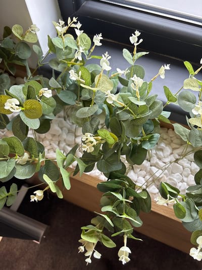 The scene is an indoor artificial plant display located in Cherven Bryag, Bulgaria. The primary subject is a dense arrangement of artificial eucalyptus-like foliage, characterized by numerous small, oval, matte green leaves of varying shades and clusters of small white, bud-like flowers distributed throughout the stems. The plants are situated within a shallow container whose visible surface is filled with irregularly shaped, smooth, white decorative pebbles. The perimeter of this container features a light-brown wooden frame. In the background, a dark, horizontal surface, consistent with a window frame or sill, is visible. Above this dark frame, a narrow band of a lighter grey element, possibly a window pane, is discernible. Natural light illuminates the scene from an unseen source above. No individuals or animals are present, and no specific actions or interactions are depicted.