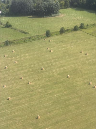 This is an aerial, oblique, medium-shot photograph of a rural landscape in Raczkowa, Poland. The scene is dominated by a vast, freshly cut hayfield, meticulously organized with parallel mowing lines evident throughout. Scattered across the field are numerous cylindrical hay bales, each appearing dry and golden-brown, indicating they have been recently harvested and baled. The bales are distributed across the field in a somewhat irregular pattern.
In the upper portion of the image, a line of deciduous trees forms a natural boundary for the field, with darker green foliage indicating a dense canopy. To the left of the hayfield, a smaller, adjacent field shows a different pattern of vegetation or cultivation, with distinct curved lines contrasting with the straight lines of the main field. A simple wire fence runs along the edge of this smaller field, separating it from the larger mowed area. The overall environment suggests a temperate climate and agricultural activity. There are no people or animals visible in the frame.