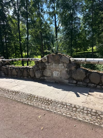 The image depicts a stone bridge railing with a white pipe on top, set against a backdrop of lush green trees. A light-colored stone wall forms the base of the railing, constructed with irregularly shaped stones of varying sizes. A pale green, spiky plant grows from the top of the wall. The walkway in front of the wall is paved with light gray square tiles, bordered by a strip of smaller, round stones. The ground in the foreground is a reddish-brown gravel path with scattered dry leaves. The scene appears to be outdoors on a sunny day, with shadows cast on the pavement. This bridge railing is located in the city of Peterhof, Russia.