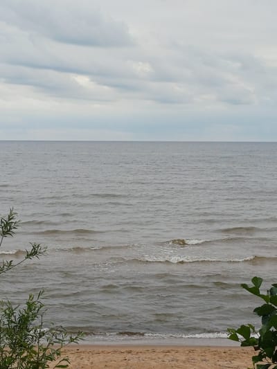 The image shows a vertical, low-angle view of a shoreline in Vārzas, Latvia. The scene is divided into three distinct sections from left to right: sky, water, and land.

The left side of the image is dominated by a pale blue sky filled with soft, wispy clouds. The clouds are light and diffused, suggesting either an overcast day or the soft light of early morning or late afternoon.

The middle section features a body of water, likely the Baltic Sea given the location. The water is a muted gray-blue, with subtle variations in color and texture indicating ripples and small waves. White foam outlines the edges of some of these waves as they approach the shore. The water surface appears textured and slightly choppy.

The right side of the image shows the sandy shore. The sand is a light tan color and appears dry and textured. In the foreground on the right, green foliage from what appears to be a bush or tree is visible, with some leaves and branches extending into the frame. In the upper right corner, a few dark green leaves from an overhanging tree are also visible.

There is no visible text in the image. The overall mood is calm and natural, capturing a serene moment at the edge of the sea. The time of day is unclear but likely not midday due to the soft lighting. The weather appears mild, with the presence of clouds and gentle waves.