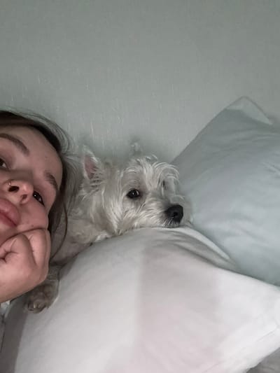 A close-up image depicts a person and a dog in an indoor setting, likely a bed. The individual, positioned on the left side of the frame, is a light-skinned female with dark hair, visible from the mid-forehead down to the upper chest. She wears a small gold hoop nose ring in her right nostril. Her head is slightly tilted, and her gaze is directed upwards and to the right. Her right hand rests with fingers curled against her chin and jawline. Her lips are slightly parted.
To her right, a small, white, fluffy canine with dark eyes and a dark nose is visible, resting its head on a white pillow. The dog appears to be a West Highland White Terrier or a similar small breed. A single paw is partially visible near the woman's hand. Both subjects appear relaxed. The background consists of a plain, light grey-green wall above and to the left, and light-colored bedding, primarily white and light blue/grey pillows, filling the rest of the upper and right portions of the frame. The specific location in the city of Vniissok, Russia, or any other geographical indicator, cannot be determined from the visual information present in the image.