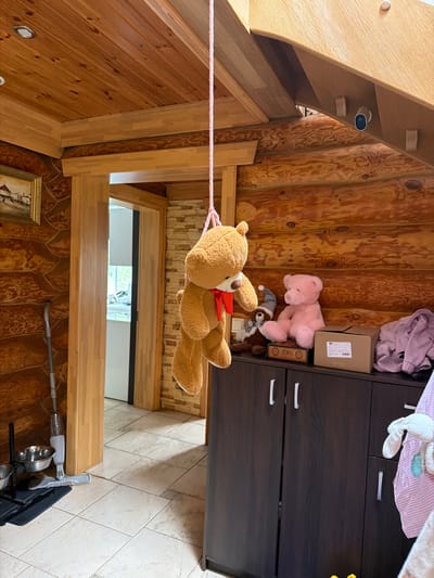 The image captures an indoor scene within a rustic dwelling characterized by exposed wooden beams and paneling. A tan teddy bear, adorned with a red ribbon around its neck, is suspended by a pink cord. It is positioned at an angle that suggests it is hanging in mid-air.
The background reveals a dark brown cabinet with silver handles, and on top of it, a light pink garment and a light purple sweater are casually placed. Adjacent to these items is a cardboard box with some visible text, and a smaller box with some labels. Other teddy bears and stuffed toys are scattered around, including a pink bear lying down.
The setting appears to be a room with a sloped ceiling, possibly an attic or a loft, given the wooden architecture and the presence of what looks like a skylight or window opening in the distance. The lighting suggests it might be daytime, with natural light entering the space. The overall atmosphere is casual and perhaps a bit whimsical due to the presence of toys. There is no indication of people or a specific event taking place; the focus is on the arrangement of the stuffed toys and the surrounding interior. The location context provided is Baloži, Latvia.