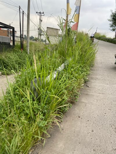 A concrete road runs diagonally from left to right in a residential area in Kecamatan Margaasih, Indonesia (latitude: -6.965, longitude: 107.544). The right edge of the road is overgrown with tall green grass. A metal guardrail runs along the edge of the road, partially obscured by the grass. Two power poles stand in the background. A building is visible in the background. A motorcycle is partially obscured by the grass in the foreground. The sky is overcast.
