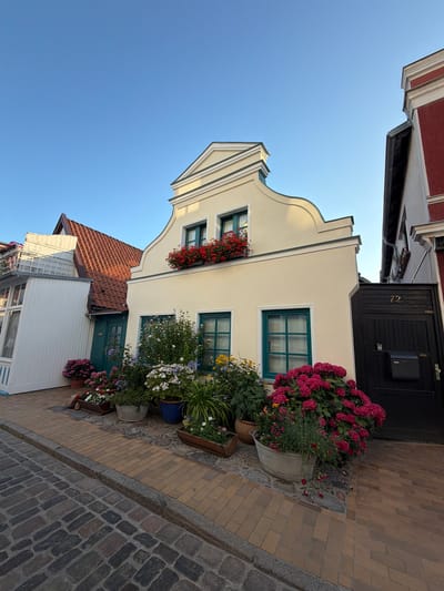 The image shows a charming, narrow cobblestone street in Rostock, Germany, lined with traditional German architecture. In the foreground, a row of potted plants, including vibrant pink hydrangeas and smaller white and purple flowers, spill onto the pavement. A pathway of yellow bricks leads to a cream-colored house with green-trimmed windows and red flowers cascading from window boxes. To the right, a dark wooden gate with the number "72" prominently displayed stands closed, with a black mailbox attached. A neighboring building, painted red and white, is partially visible to the far right. The sky above is a clear, bright blue, indicating a sunny day. The street appears quiet and residential, with no people or vehicles present in the frame.