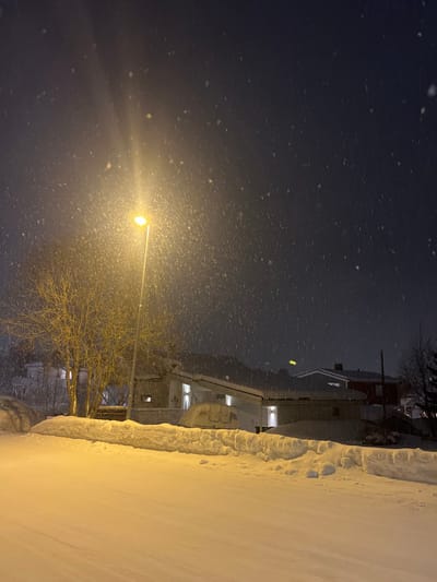 A night scene shows snow falling heavily around a lit streetlamp. The light illuminates the falling snow, creating a dense, illuminated haze. Bare tree branches stand near the lamp. Adjacent to a snow-covered sidewalk are houses, partially obscured by the snow. A red building can be seen further back. The sky is dark, filled with falling snow.