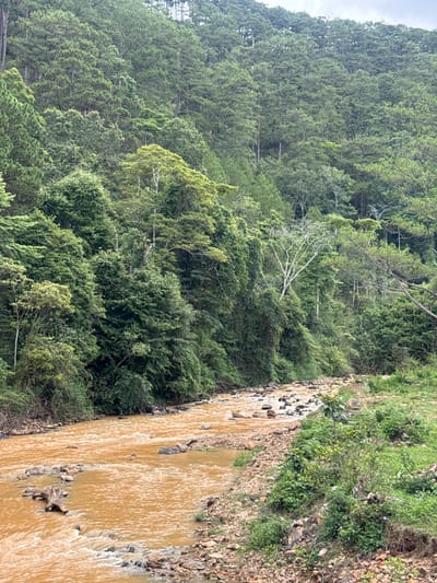 The image depicts a muddy river flowing through a dense, green forest in Păng Tiêng 1, Vietnam. The water is brown, indicating high sediment content. The river banks are rocky and covered in vegetation. The forest is lush with trees of varying heights and shades of green. The sky is overcast.