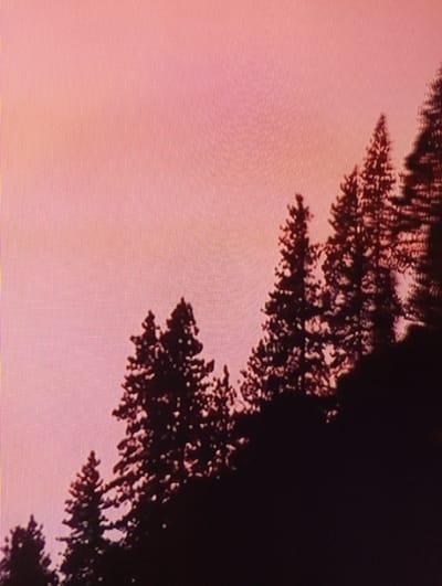 A silhouette of evergreen trees against a gradient pink sky is captured in this image. The trees are dark and distinct, with their branches creating intricate patterns against the lighter background. The sky transitions from a lighter hue at the bottom to a deeper pink towards the top. The image appears to be taken from a low angle, looking up at the trees. The overall impression is one of a natural landscape, possibly a forest or park. There are no visible people or man-made structures in the scene. The location is not specified within the image itself, nor is there any indication of it being in Chachersk, Belarus.