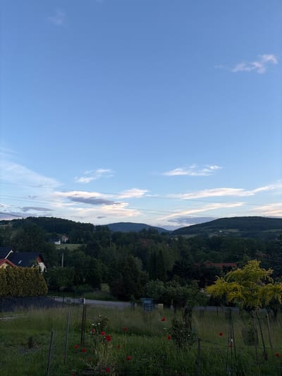 The image depicts a rural landscape at dusk, likely in or near Limanowa, Poland. The sky is a gradient of light blue with wispy white clouds, transitioning to a darker blue towards the horizon. In the foreground, a grassy field is dotted with red poppies and enclosed by a wire fence. A road can be seen in the middle ground, leading into a dense forest that covers rolling hills. A few houses with red tile roofs are nestled among the trees. The overall atmosphere is serene and quiet.