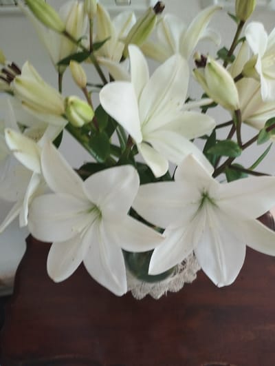A close-up, vertical shot features a bouquet of white lilies in full bloom, some with buds still closed. The lilies are arranged in a clear glass vase, which is partially visible at the bottom center. The vase sits on a dark, polished wooden surface, possibly a table or dresser. A delicate white lace doily is placed beneath the vase, adding a touch of texture. The background is softly blurred, suggesting an indoor setting, possibly a home in Pardes Hana-Karkur, Israel. The lighting is natural and diffused, highlighting the delicate petals of the lilies and the subtle details of their stamens. There are no people or animals present in the image.