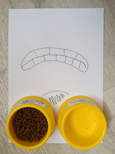 In Pokrov, Ukraine, a piece of white paper with a drawing of a mouth with teeth and squiggly lines below it is laid out on a wooden floor. Two yellow pet bowls are placed on the paper. The bowl on the left is filled with brown kibble, while the bowl on the right is empty.