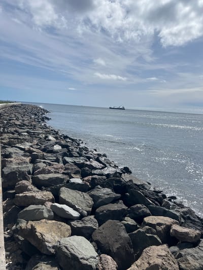 The image shows a coastal scene in Las Palmas, Spain. In the foreground, a breakwater or barrier is constructed from large, irregularly shaped rocks. The rocks are various shades of gray and brown, with some appearing darker, possibly from being wet. Beyond the rocks, the Atlantic Ocean stretches out to the horizon, its surface reflecting sunlight and appearing shimmering. In the distance, a cargo ship is visible. The sky is pale blue with scattered clouds. The image is taken at an angle.