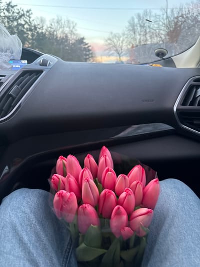 An interior shot from the front passenger seat of a vehicle depicts a bouquet of approximately 20-25 closed pink tulips resting on the lap of an individual. The individual's thighs, clad in light blue denim jeans, occupy the lower portion of the frame, supporting the tulips which are wrapped in dark, possibly transparent, material. The vehicle's dark gray dashboard is prominent, featuring air vents on both the left and right sides. On the left side, a digital display shows "18:20" and "00 MHz," and a clear plastic bag is positioned on the dashboard nearby. The passenger-side airbag cover is visible, marked "AIRBAG." Through the front windshield, an outdoor environment is visible, characterized by a clear sky transitioning from light blue to a soft orange/pink hue at the horizon, indicative of a late afternoon or early evening. Bare deciduous trees and some evergreen foliage are present in the background. A small black rectangular object and a suction cup are affixed to the windshield. The scene is situated within the city of Slavyansk-na-Kubani, Russia.