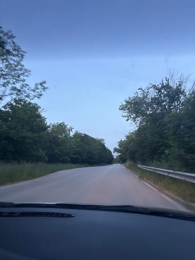 The view is from inside a vehicle driving along a road. Trees line the road. There is a guardrail on the right. The sky is visible above the trees. The image appears to be taken at dusk or dawn. The scene is not identifiable as being in Balgarsko Slivovo, Bulgaria, based on visual features alone.