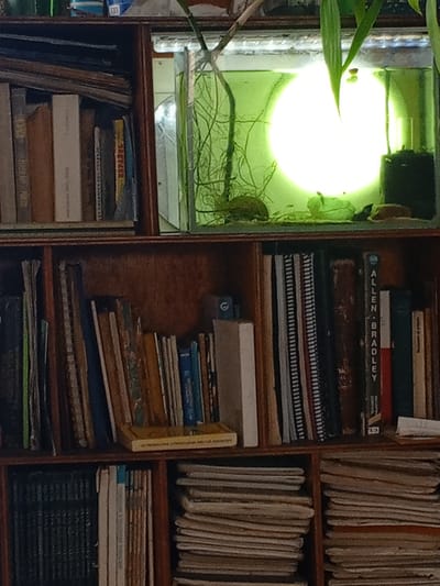 The image displays a close-up, eye-level, full shot of a bookshelf filled with books and a small aquarium on the top shelf. The bookshelf is made of dark wood and is divided into several compartments.
The top shelf features an aquarium with green water, aquatic plants, and a bright, circular light source. The aquarium is positioned to the right of the shelf, partially obscured by a plant. To the left of the aquarium, a stack of books is visible, with their spines facing forward.
The second shelf from the top is densely packed with books of various sizes and colors. Some books have plain spines, while others have visible titles or patterns. A book with the title "ALLEN-BRADLEY" is prominently displayed towards the right side of this shelf.
The third shelf from the top also contains numerous books, mostly with dark-colored spines.
The bottom shelf is filled with stacks of what appear to be notebooks or smaller books, neatly arranged horizontally. These items are predominantly light brown and beige in color.
The image does not provide any information about the city of Valencia, Venezuela, nor does it contain any identifiable people or actions. The scene is static and focuses solely on the arrangement of books and the aquarium.