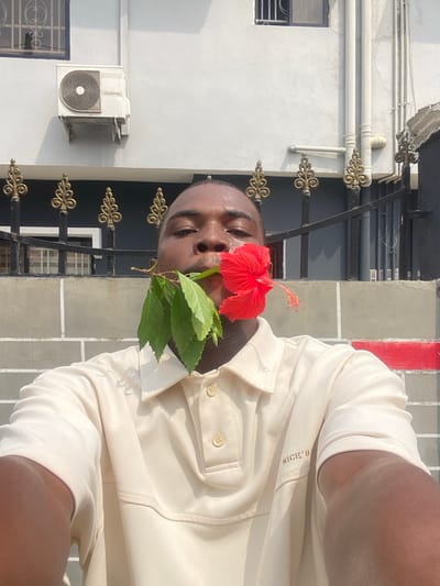 A forensic description of a scene in Langbasa, Nigeria. The central subject is an adult male with a dark complexion, looking directly at the viewer. He is wearing a light-colored (beige/cream) short-sleeved polo shirt. A red hibiscus flower, with its stem and several green leaves, is held horizontally in his mouth. Perspiration is visible on his forehead and upper lip. The background features a light-colored, possibly two-story, building. An exterior air conditioning unit is mounted on the upper left wall beneath a window with dark metal security bars. White vertical pipes are visible on the upper right side of the building. A dark metal fence with ornate, gold-colored scrollwork runs across the mid-ground. Below the fence, a lower wall section constructed of grey rectangular blocks is present, featuring a horizontal red stripe on the right side. The scene is brightly illuminated by direct sunlight, casting shadows.