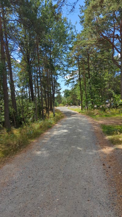 The image depicts a gravel path winding through a forest in Larkollen, Norway. Tall trees, primarily pines and deciduous varieties, line both sides of the path, their branches reaching towards a bright blue sky dotted with white clouds. Sunlight filters through the canopy, casting dappled shadows on the textured gravel surface. The path appears to curve gently towards the distance, where it seems to lead to an open area with some distant structures or possibly a clearing. The vegetation on the sides of the path is dense, with a mix of grass, bushes, and undergrowth. The overall scene suggests a natural, outdoor setting, likely a park or a nature trail.