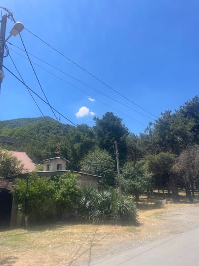 The image captures a rural scene under a clear blue sky in Mtskheta, Georgia. In the foreground, a weathered street lamp is mounted on a utility pole, draped with several black electrical wires. To the left, the roof of a building with red tiles is partially visible. Adjacent to it is a small, dilapidated structure with an unfinished brick facade and two open window-like openings. Lush green trees, including some tall pines and a yucca-like plant, surround the structures and extend towards a verdant, tree-covered hillside that dominates the background. The ground is covered in dry, yellow grass and gravel, suggesting a warm climate. The overall impression is one of a quiet, somewhat neglected rural settlement nestled within a natural landscape.