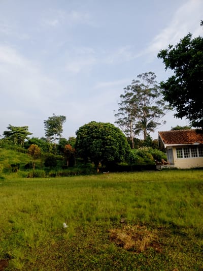 The image depicts a grassy field in Kudawa, Sri Lanka. A small, light yellow building with a red-tiled roof sits among trees. The sky is light blue with some wispy clouds. There are several trees of varying heights and types scattered across the landscape. Two statue lions can be seen near the building.
