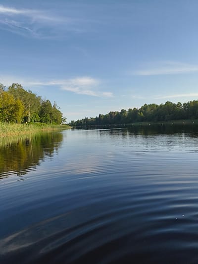 The media file depicts a serene natural landscape with a body of water in the foreground and a tree-lined shore in the background. The water's surface is rippled, creating a textured effect that reflects the sky and surrounding trees. On the left side of the image, a dense line of tall, green reeds grows along the water's edge, transitioning into a lush forest with trees of varying shades of green. The forest extends along the entire visible shoreline, forming a verdant backdrop.
In the distance, across the water, buoys are visible, spaced out along the shoreline, suggesting a marked area or a recreational boundary. The sky above is a clear, bright blue with thin, wispy white clouds scattered across it. The lighting suggests it is either early morning or late afternoon, as the sun casts soft light and creates gentle reflections on the water. The overall mood is peaceful and tranquil, evoking a sense of calm and natural beauty.
The location is identified as Brocēni, Latvia. There is no visible text in the media file. The scene is devoid of people or prominent man-made objects, emphasizing the natural environment. The activity is simply the quiet flow of water under a clear sky, with the natural elements of reeds, trees, and water being the primary subjects.