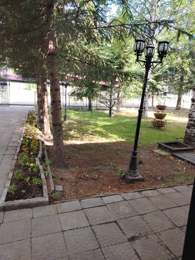 This is a medium-shot, eye-level, outdoor, daytime photograph of a park area in Zlatoustovsk, Russia. The foreground shows a gray tiled pathway with a textured pattern of concentric circles. To the left of the pathway is a flowerbed containing small, colorful flowers, primarily orange and yellow, with some green foliage. Three tall, brown tree trunks stand behind the flowerbed.
Beyond the flowerbed and trees, a grassy area is visible, dotted with more trees, including some with white bark and others with dense green foliage. A black lamppost with three lamps stands in the middle ground, leaning slightly to the left. In the background, a low white fence encloses a more distant area with trees and some structures that appear to be buildings with red roofs.
The ground is covered with a mix of grass, fallen leaves, and some exposed soil. The lighting suggests a sunny day, with shadows cast by the trees and the lamppost. There are no people visible in the scene. The overall impression is of a well-maintained public park or garden area.